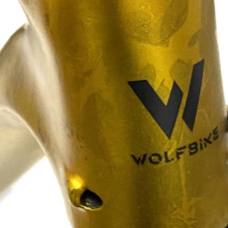 Cuadro carbono MTB Saturnus - 148x12 - cuadro + eje pasante - Dorado/Negro