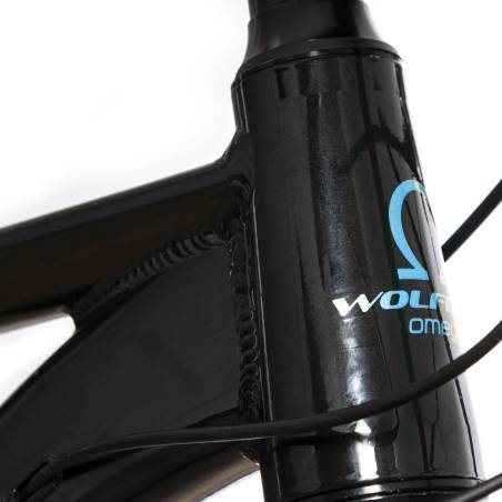 Omega 29 - Shimano AltusM2000 + Disc Clarks + MD728MLO 9x100